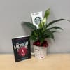 Potted peace lily in a mug with a ribbon, beside a book and Starbucks card