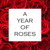 Red roses surrounding a white square with the words A YEAR OF ROSES