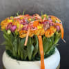 Low white bowl packed with orange, yellow, and pink tulips topped with orange ribbons