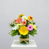 Colorful gerbera daisy bouquet in a glass vase with raffia tie