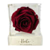Single red rose in a clear acrylic box