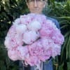 Peonies 