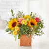 Sunflowers and roses arranged with a succulent in a textured square vase