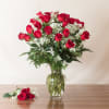 A dramatic stand of two dozen long-stem Red roses creates an immediate