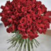 Large bouquet of red roses with long stems