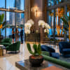 White orchids in a hotel lobby with a potted plant in the foreground