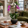 Potted orchid arrangement with white and pink blooms on a table