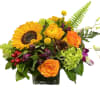 Mixed bouquet with sunflowers, orange roses, and green hydrangeas in a square vase