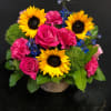 Sunny Garden 