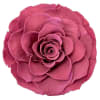 Close-up of a single pink rose bloom on a white background