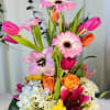 Bright mixed bouquet in a pink wrapped container with tulips and gerbera daisies