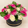 Pink and white roses arranged in a round black box