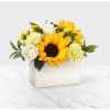 Sunflower and white rose arrangement in a white box