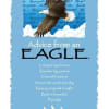 Blue inspirational card featuring a flying bald eagle and the title 'Advice from an Eagle.'