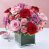 Pink and red rose arrangement in a square glass vase