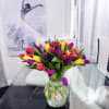 Beautiful Multicolor Tulips. These brightly colored jewels are the ultimate signs of