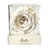 White rose in a clear acrylic box with a printed label