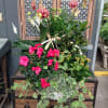 Potted orchid and azalea arrangement with trailing ivy