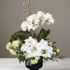 White orchid arrangement in a black pedestal vase with green accents