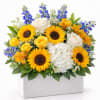A vibrant and cheerful arrangement designed to brighten any day. Featuring radiant