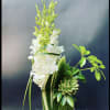 White orchid arrangement with succulents in a glass vase
