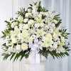 Symbolizing peace, serenity and purity, white flowers can help comfort those grieving