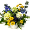 White roses, yellow pom flowers, and blue blooms in a white vase