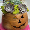 Succulents Arrangement beautifully designed coming out of a wood pumpkin 