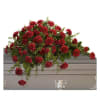 A classic way to show someone love and admiration with an all