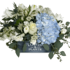Blue hydrangeas and white flowers in a dark wooden box