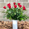 Make a bold and romantic statement with our classic Red Roses in