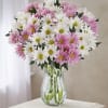 Nothing says happiness quite like our cheerful bouquet of daisies. With perky