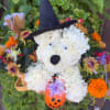 White flower teddy bear wearing a black witch hat with a small pumpkin ornament