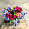 A mix of bright summer blooms in a specialty blue chinioserie pot.