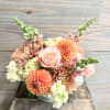 A modern fall arrangement of fall blooms in orange and blush flowers.