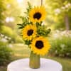 Sunshine in a Vase &ndash; Fresh Sunflower Bouquet

Bring warmth and joy into