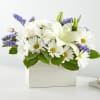 White daisies and lilies in a white box with purple accents