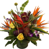 6x6 cylinder with all things tropical....