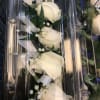 White rose boutonniere set in a clear plastic box