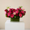 Pink and red roses arranged in a square glass vase