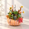 Succulent arrangement in a pumpkin with yellow flowers and autumn leaves