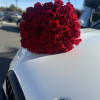 Large bouquet of red roses resting on a white car hood