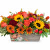 Autumn floral arrangement with sunflowers, roses, and mums in a pumpkin-decorated wooden box