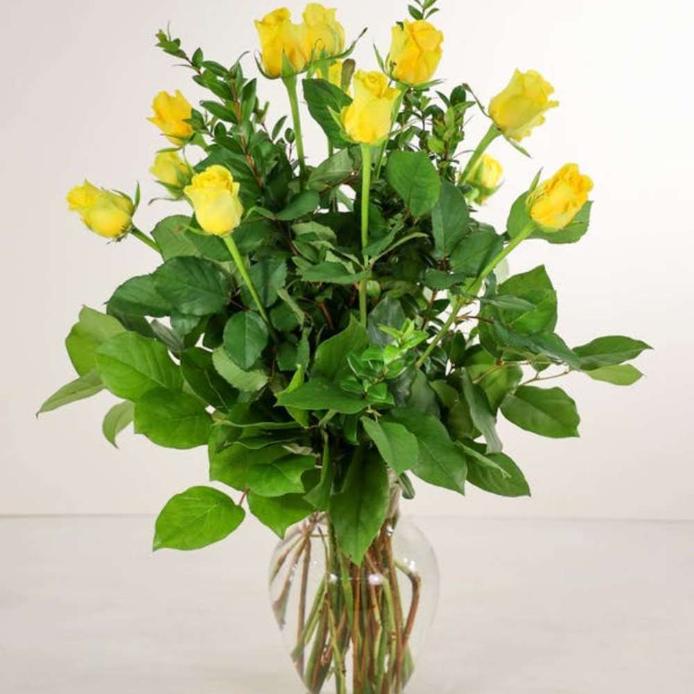 Luxurious Yellow Roses