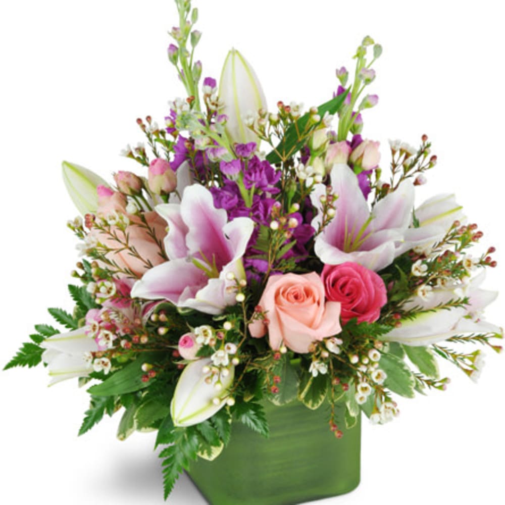 May Flowers
