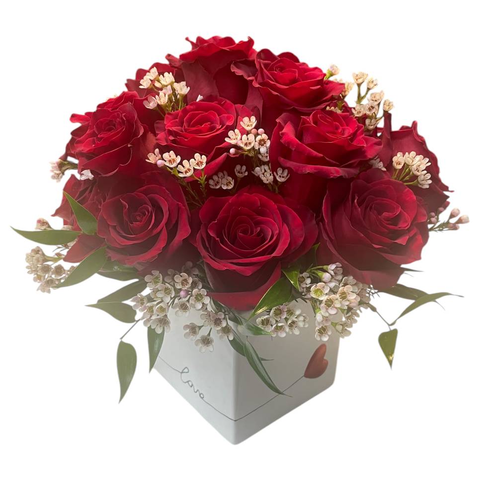 Red roses arranged in a white box with small white filler flowers