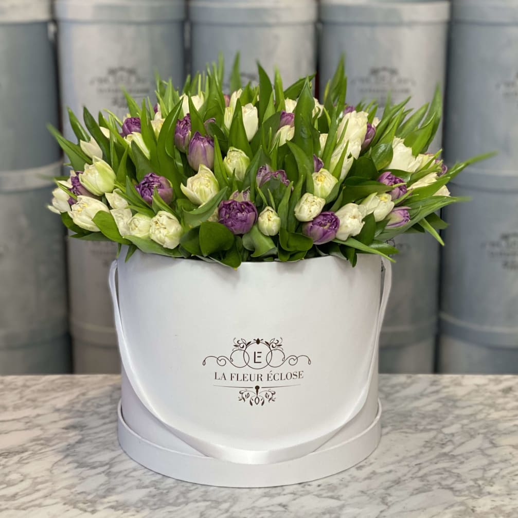 Purple and white tulips in a white hatbox