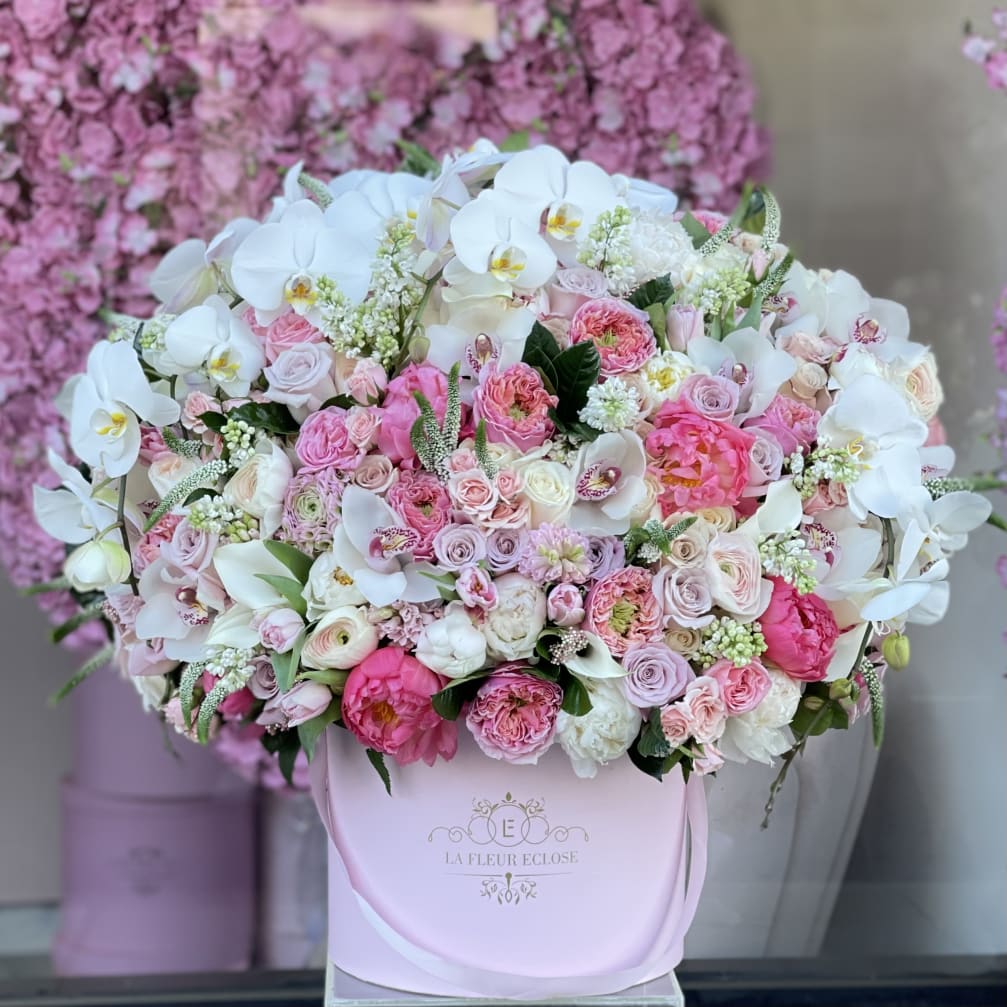 Beauty Premium Mix V