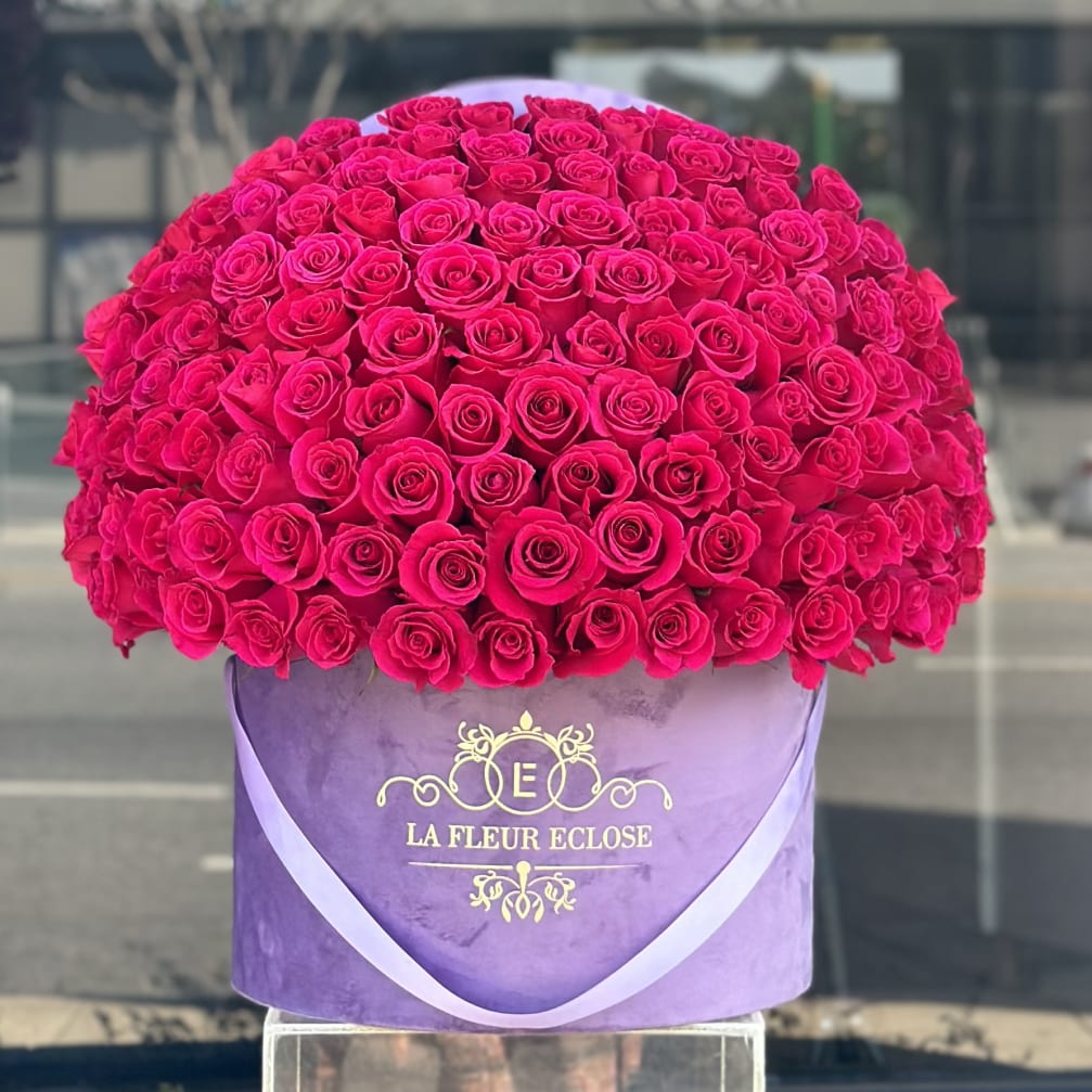 Large dome of hot pink roses in a purple hatbox