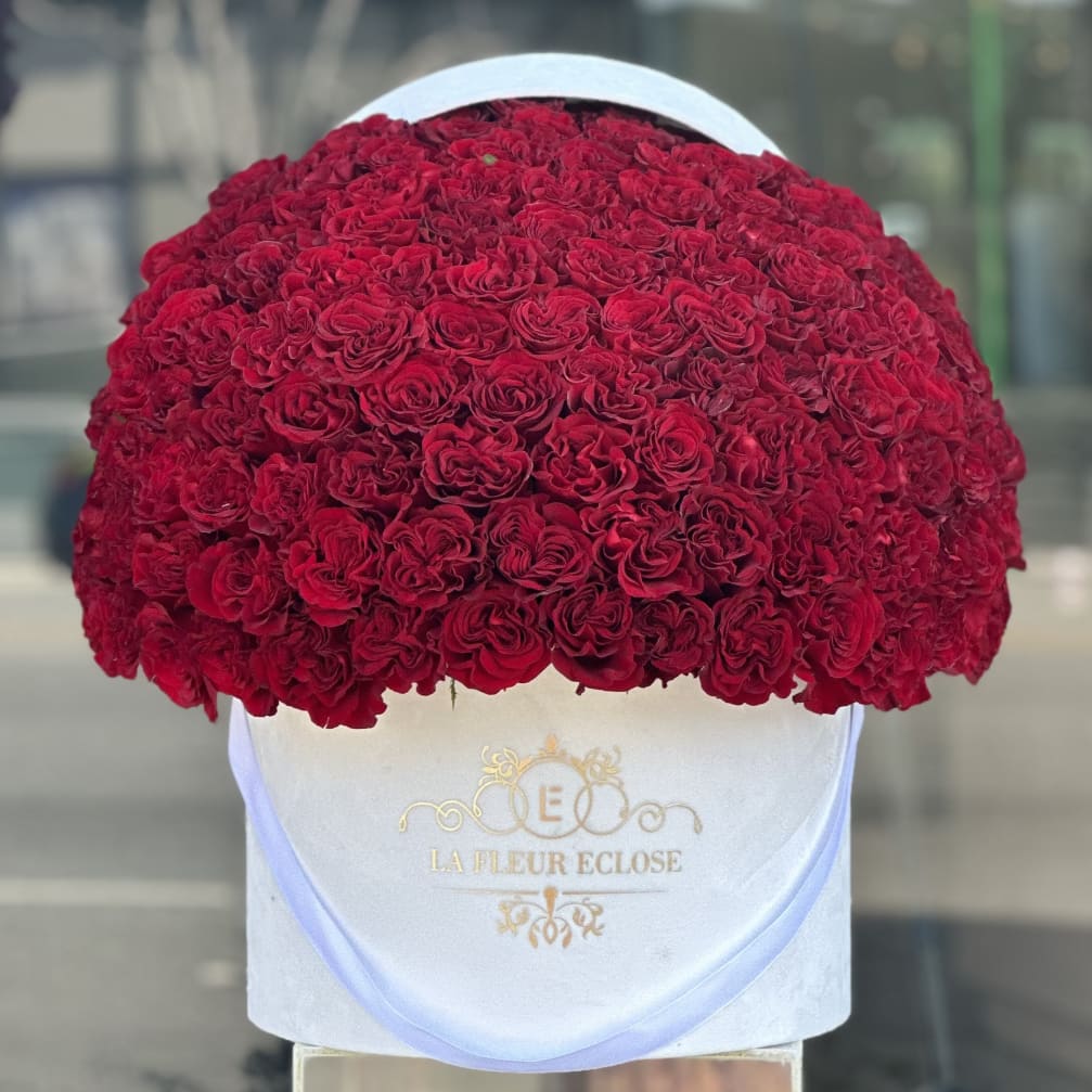 Large dome of red roses in a white hat box